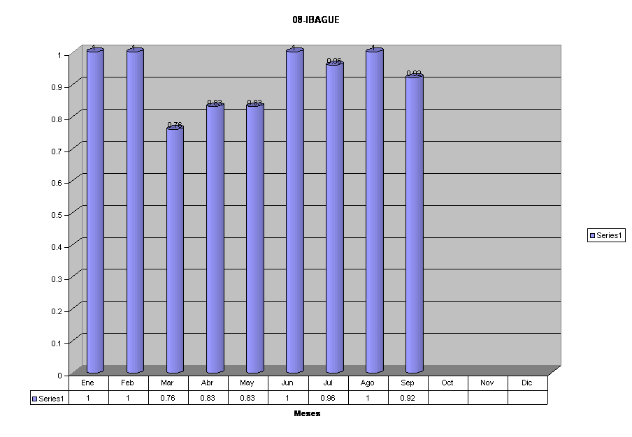 08-IBAGUE